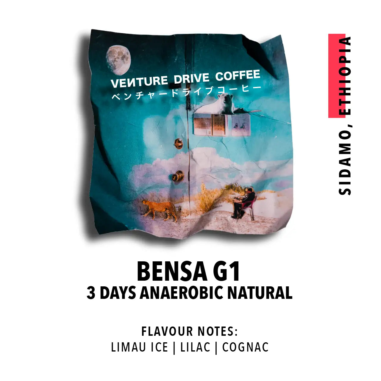 Sidamo Bensa 3 Days Fermentation Anaerobic Natural (Ethiopia)
