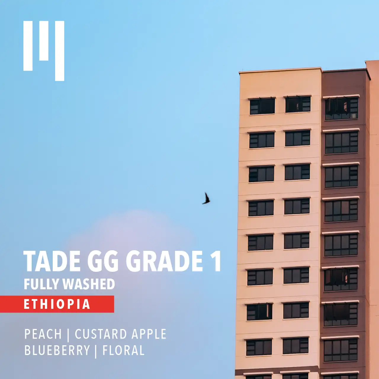 Tade GG Fully Washed (Ethiopia)