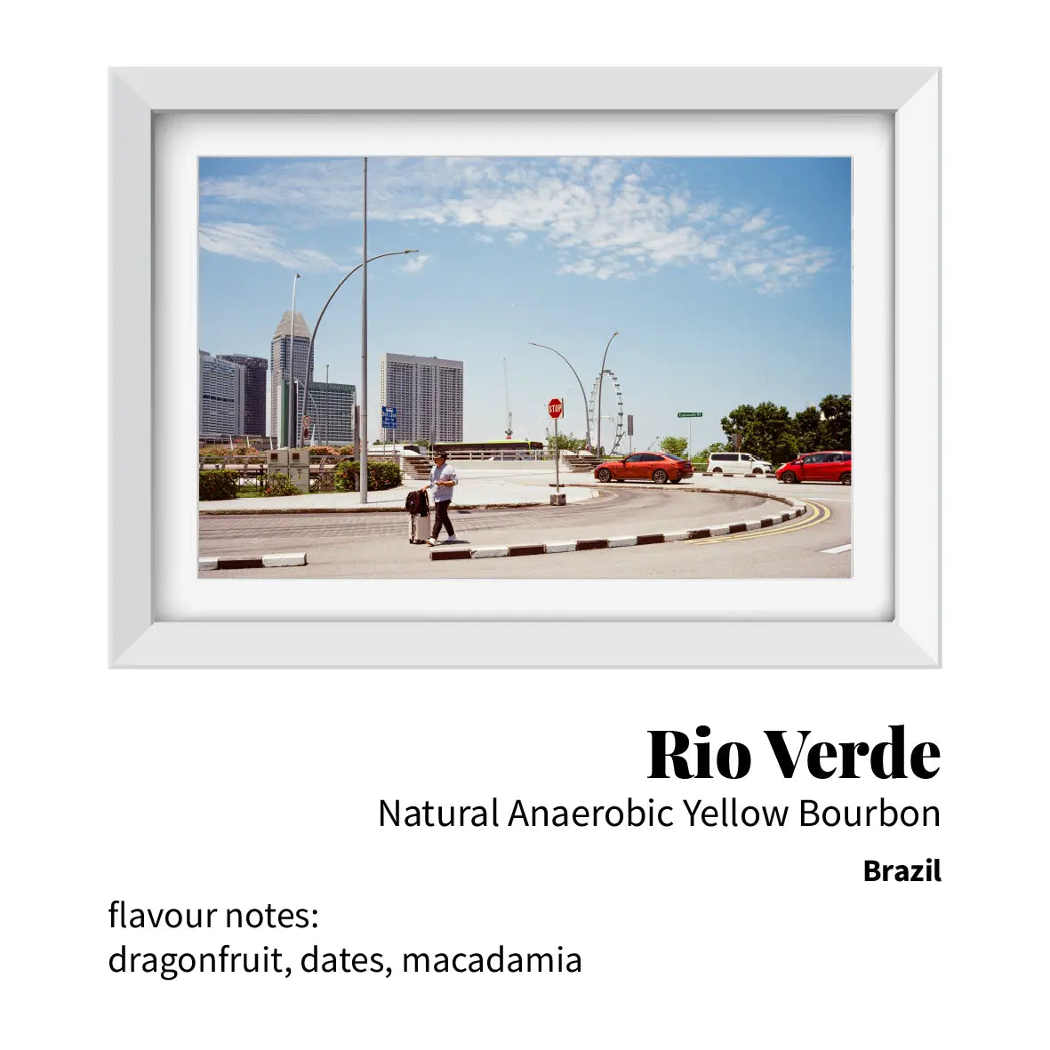 Rio Verde Natural Yellow Bourbon (Brazil)