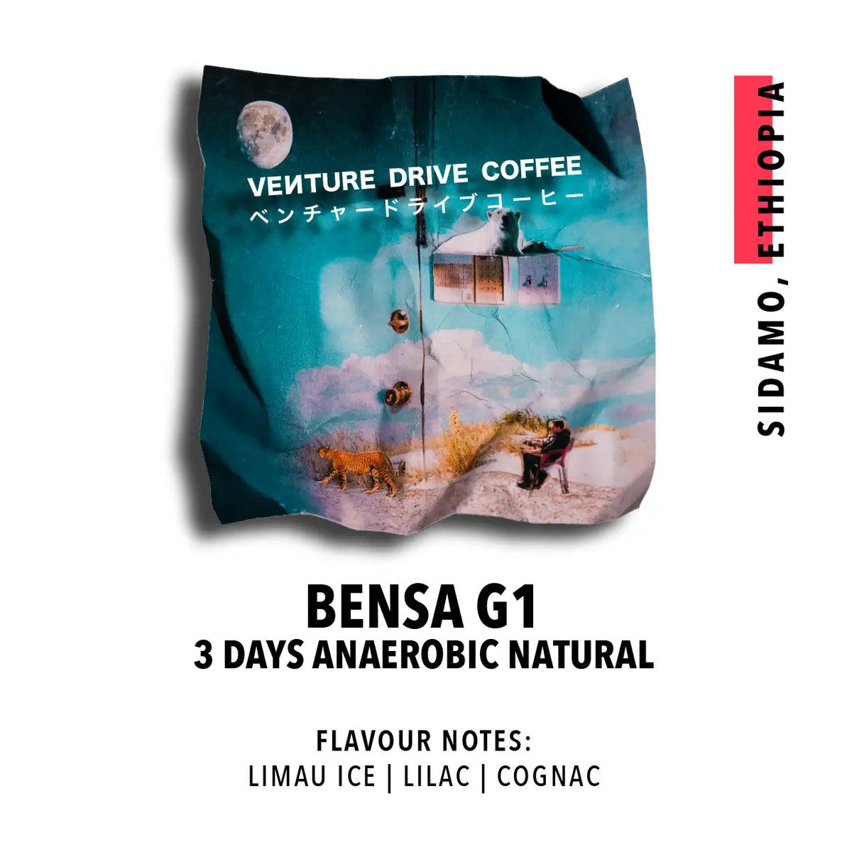 Sidamo Bensa 3 Days Fermentation Anaerobic Natural (Ethiopia)