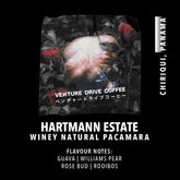 Hartmann Estate Winey Natural Pacamara (Panama)
